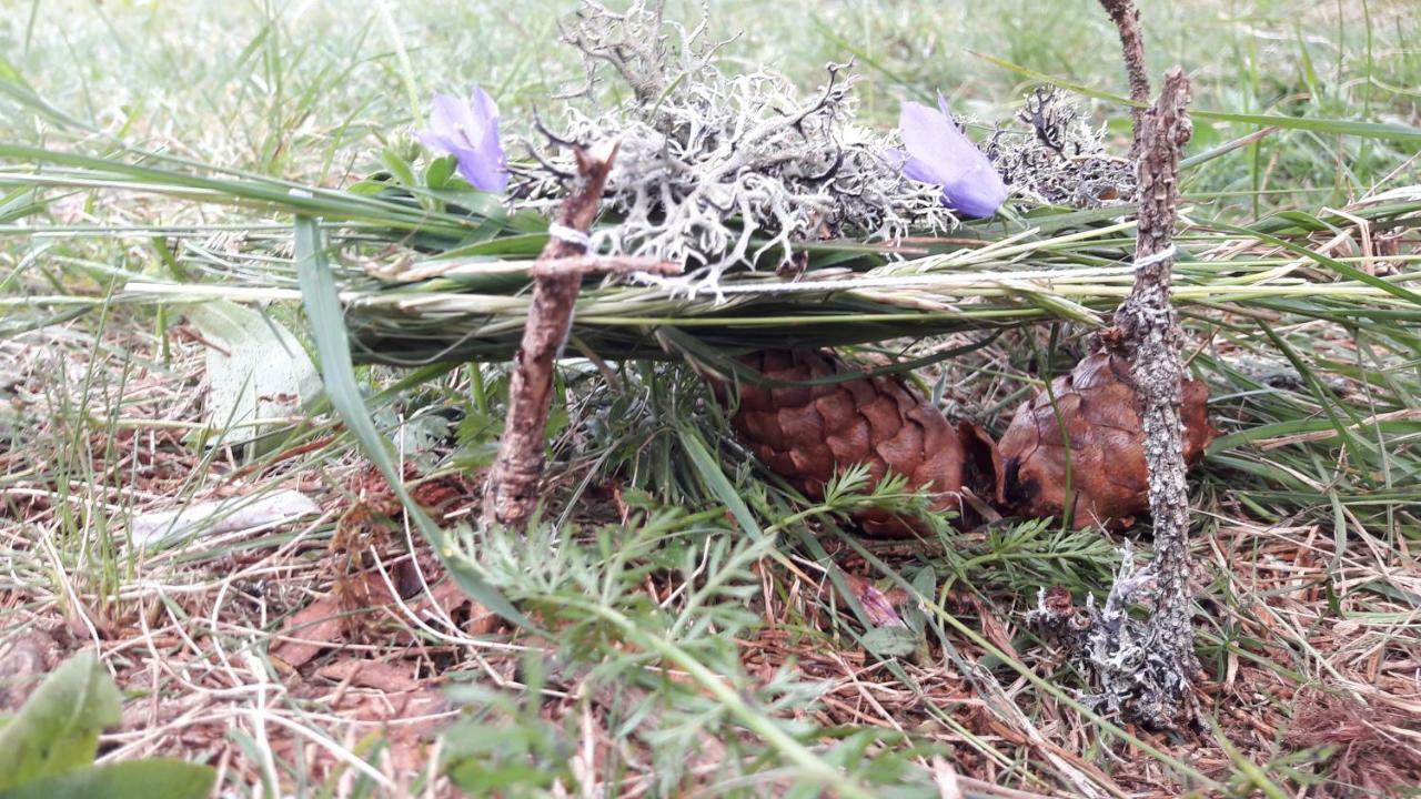 Residence Lenzenau Tirol Eksteriør bilde